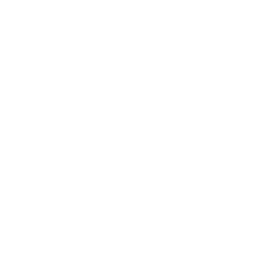 Різноманітний консалтинг 